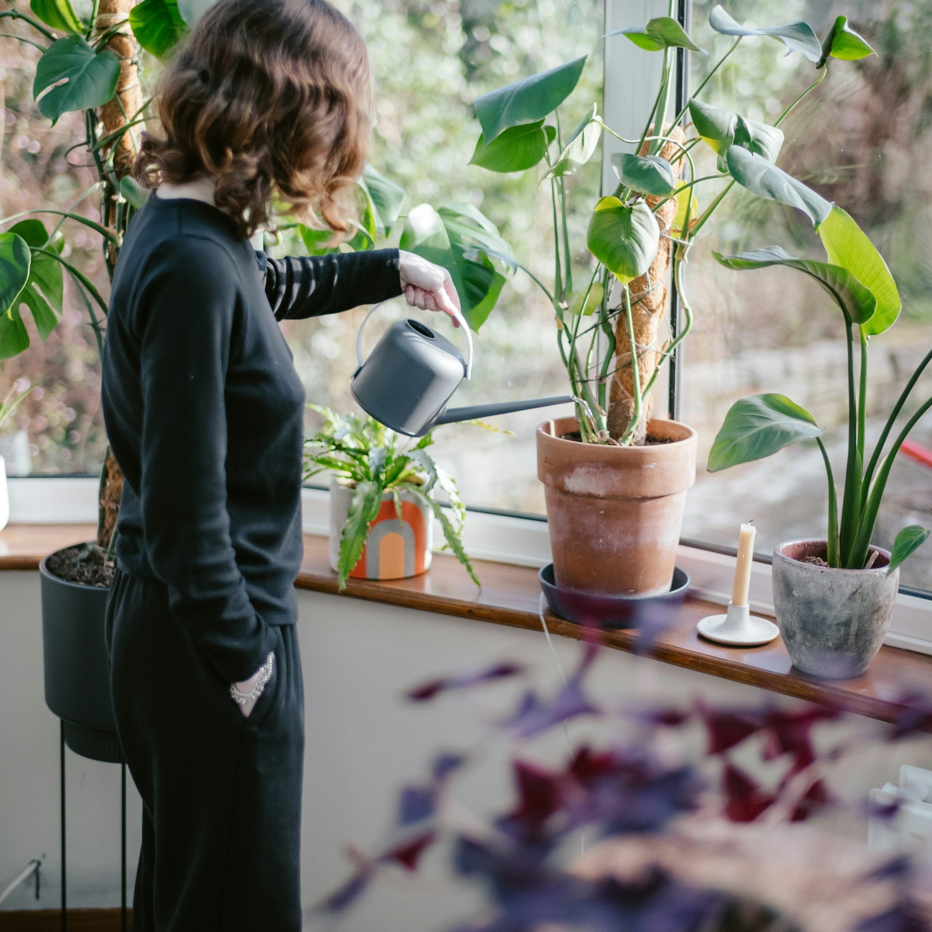 Mindful Plant Care Rituals: How Daily Plant Care Supports Calm and Presence