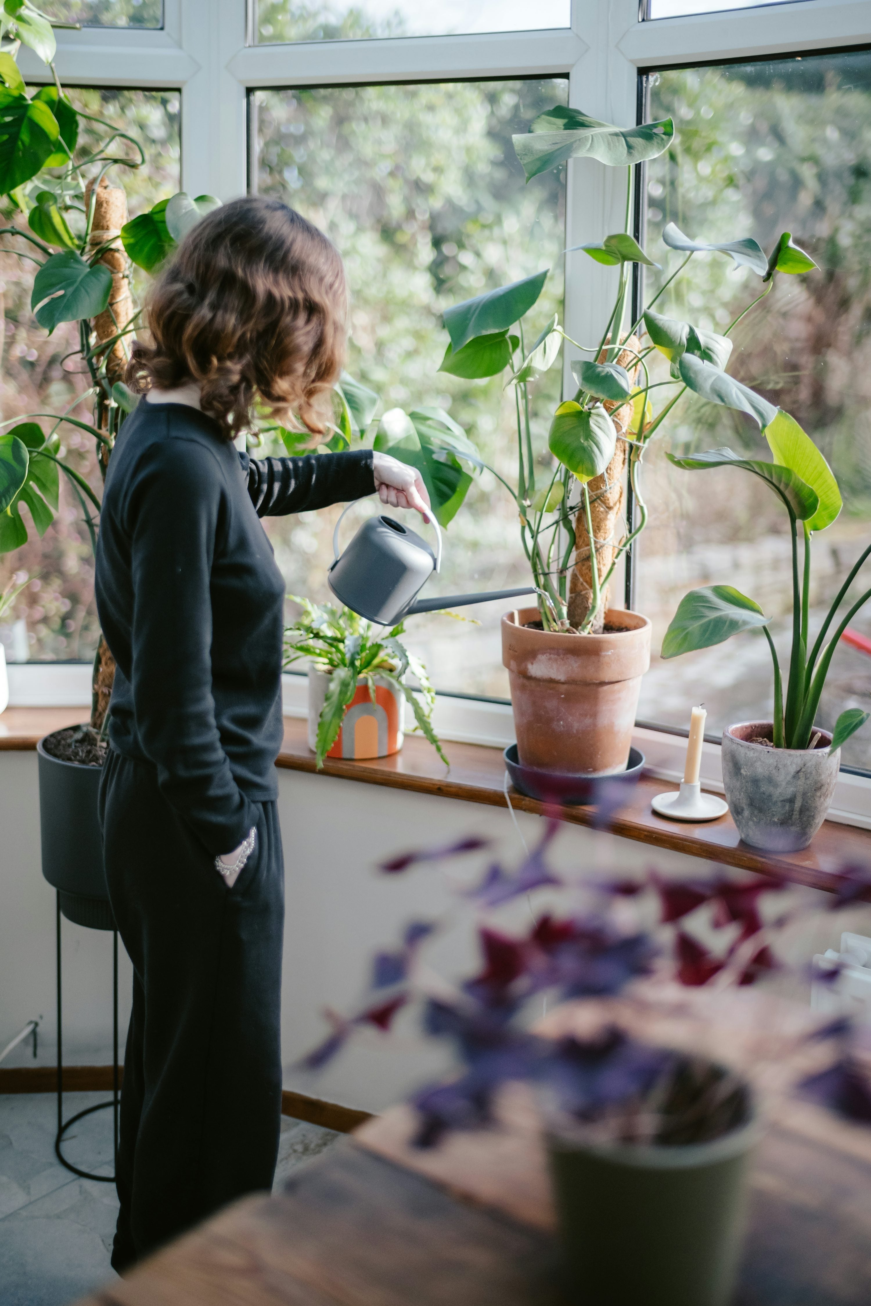 Mindful Plant Care Rituals: How Daily Plant Care Supports Calm and Presence