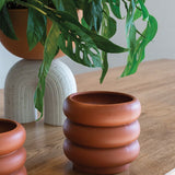 Terracotta Motley Pot