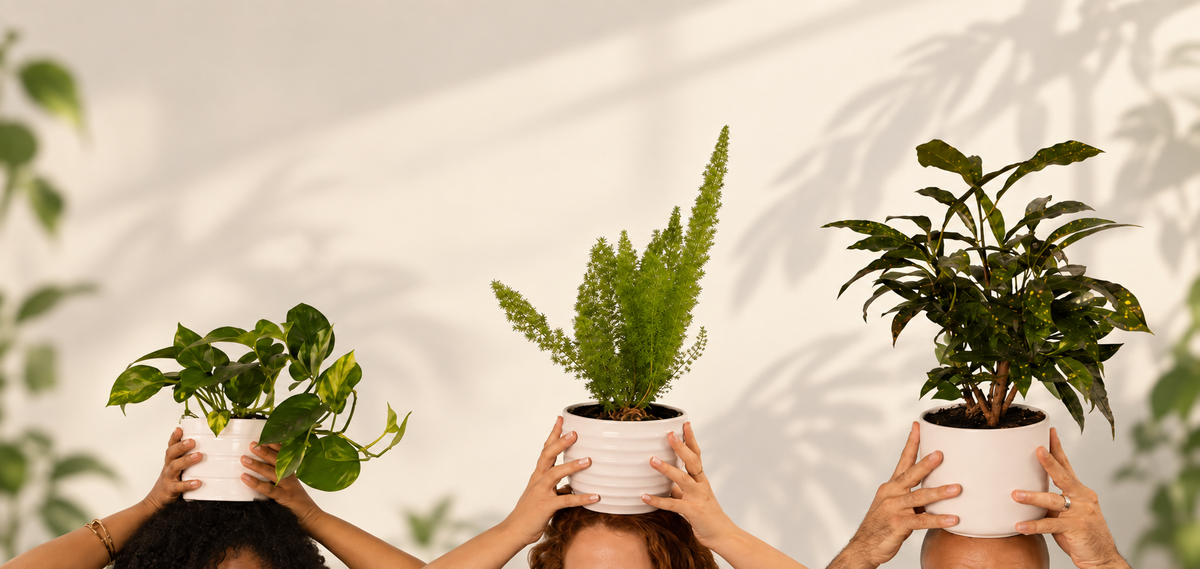 The place where nature and mental health meet