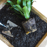Tierra para macetas para plantas de interior - Puck