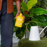 Bio Insecticide - Arber