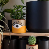 Vision Pot